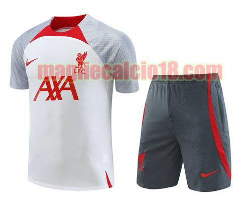 formaziones liverpool 2023-2024 a poco prezzo bianco grigio