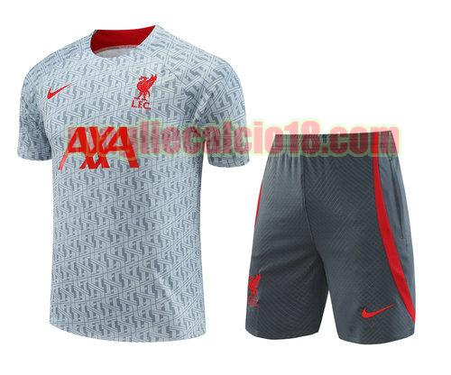 formaziones liverpool 2023-2024 a poco prezzo grigio