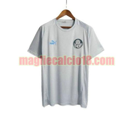 maglia 2023-2024 palmeiras training