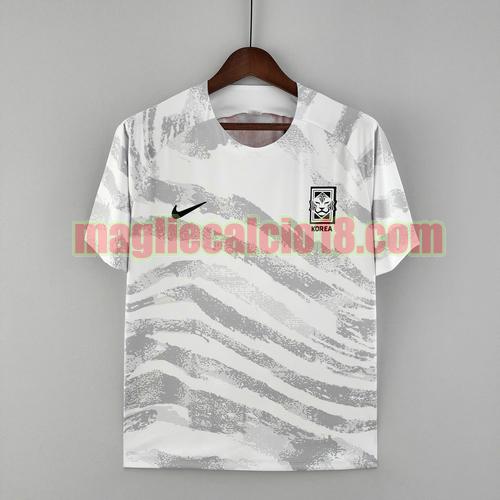 maglia corea 2022-2023 training grigio