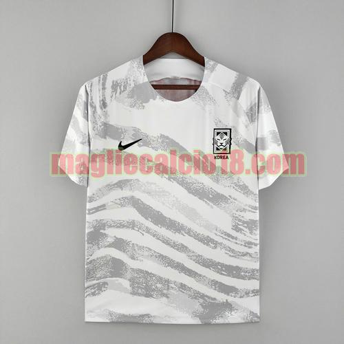 maglia corea 2022-2023 training grigio