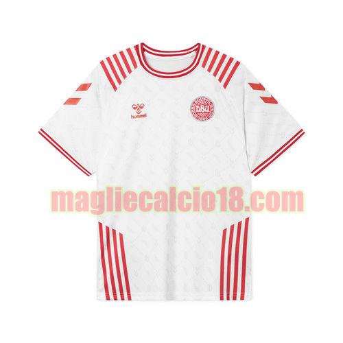 maglia denmark 2022-2023 edizione limitata poco prezzo