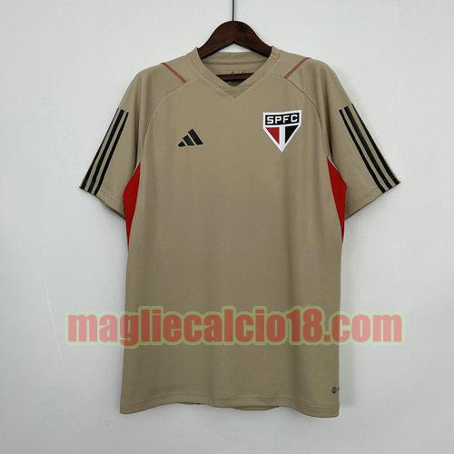 maglia san paolo 2023-2024 grigio training