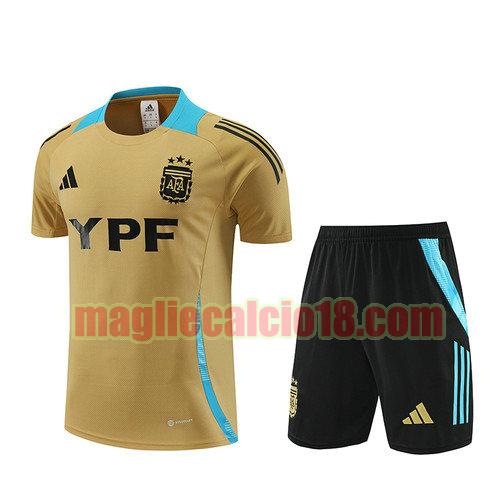 training maglie calcio argentina 2024-2025 cachi completo