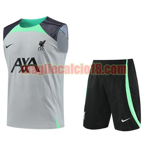 vests calcio liverpool 2023 completo grigio a poco prezzo